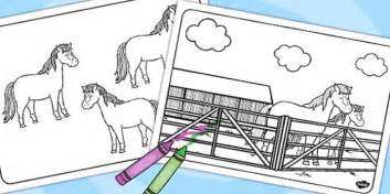 horses  ponies coloring pages teacher  twinkl
