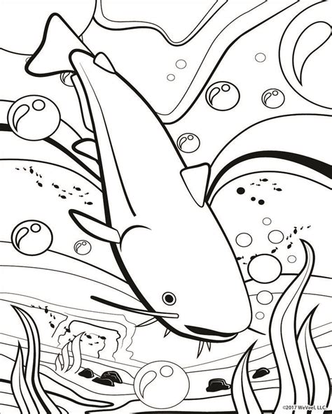 coloring pages sea life