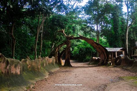 osun osogbo sacred grove  unesco world heritage site travelwaka