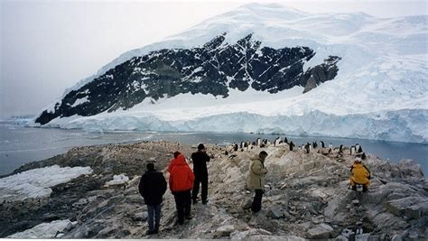 antarctic visiting rights  sold  highest bidder wired