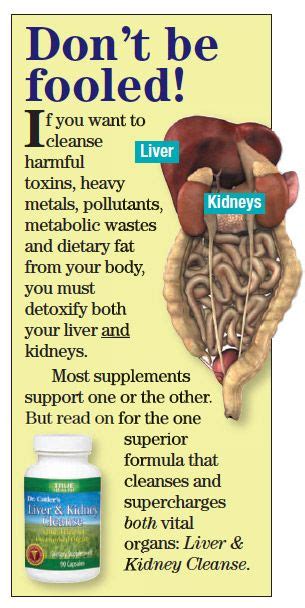 liver  kidney cleanse  detox deception liver  kidney