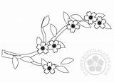 Blossom Cherry Branch Coloring Pages Blossoms Spring Templates Flowers Flowerstemplates sketch template