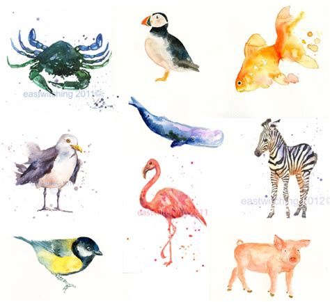 watercolor animal paintings em  marvelous