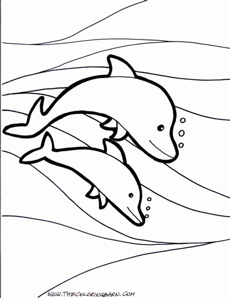 cute dolphin coloring pages coloring home