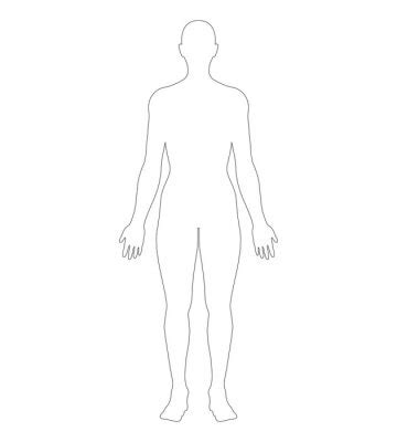 anatomical position anterior view female body outline vector posters