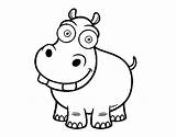 Hippo Coloring Coloringcrew sketch template