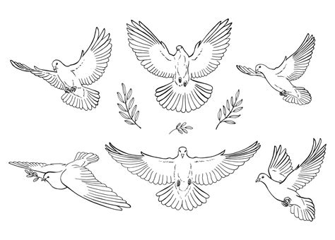 set  dove outline  art style isolated hand drawn vector