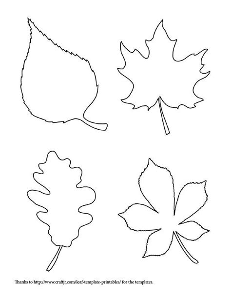 printable leaf templates coloring home