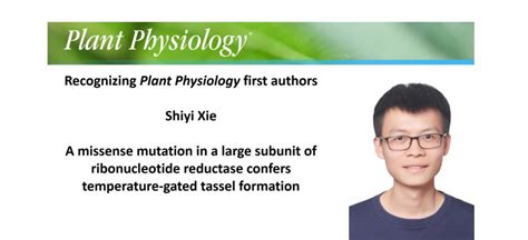 Plantae Recognizing Plant Physiology Authors Shiyi Xie Plantae