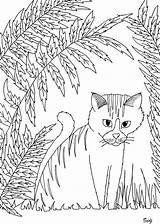 Gatti Coloriages Chats Adultos Katzen Adulti Chaton Malbuch Erwachsene Gratuitement Colorier Katze Justcolor Adultes Difficile Nggallery Trait Incroyable Animali sketch template