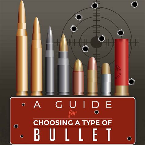 guide  choosing  type  bullet infographic