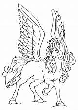 Pegasus Coloring Pegaso Ausmalbild Kostenlos Dibujosonline sketch template