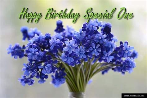 blessed birthday wishes   special sweet love messages