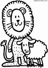 Coloring Lion Pages Lamb Wayfaring Sheep Children Sherriallen Dltk Lamm Ministries Gif Printable Preschool Auswählen Pinnwand sketch template