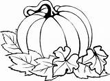 Pumpkin Patch Coloring Pages Color Clipartmag sketch template
