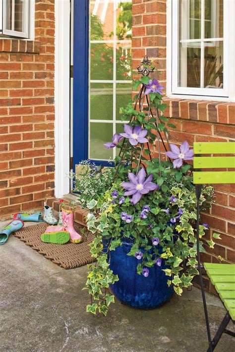 Clematis In Many Forms Secrets To A Prime Time Vine Southernliving