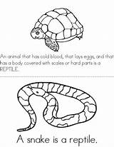 Reptile Reptiles Preschool Worksheets Book Twistynoodle Printable Kindergarten Kids Activities Sheet Worksheet Coloring Mini Animal Life Books Crafts Zoo Classroom sketch template