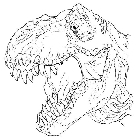 printable coloring pages dinosaur coloring pages dinosaur images