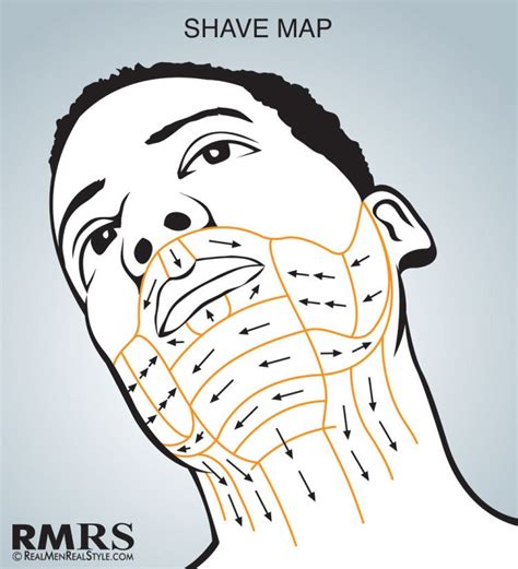 Shave Maps Infographic How To Shave Correctly Which Direction Do