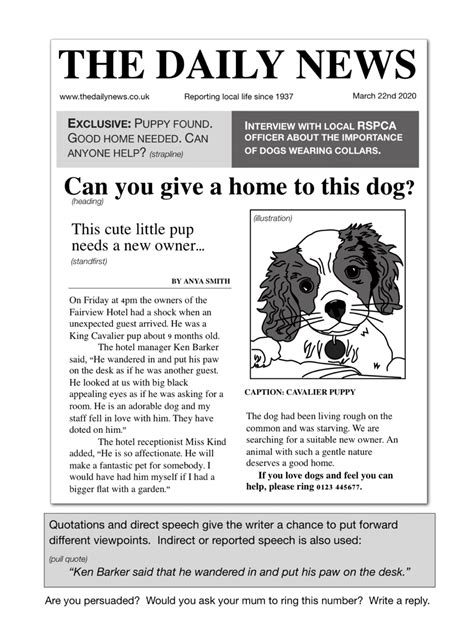newspaper articles examples