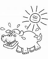Coloring Summer Topcoloringpages Hippo Print sketch template