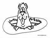 Gopher Coloring Pages Colormegood Animals sketch template