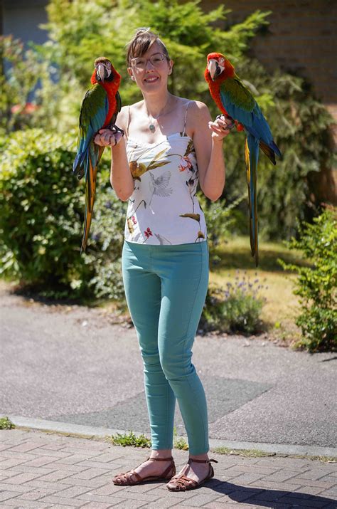 woman teaches stunning parrots  fly freely  return