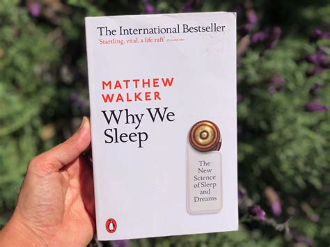 book why we sleep billabong retreat sydney