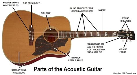 attention  players  quick start guide  guitar terminology moes tavern   guitar forum