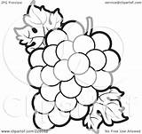 Grapes Outline Clipart Coloring Bunch Leaves Grape Illustration Royalty Rf Lal Perera Fruit Pages Colouring Flower Leaf Clipground Color Background sketch template