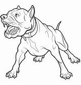 Barking Pitbull Bull Graphicriver sketch template