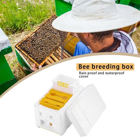 queen bee grootbrengen paring bijenkorf nuc oogst bestuiving bijen bijenkorf doos reserve