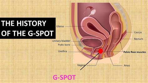 Does The G Spot Really Exist Youtube