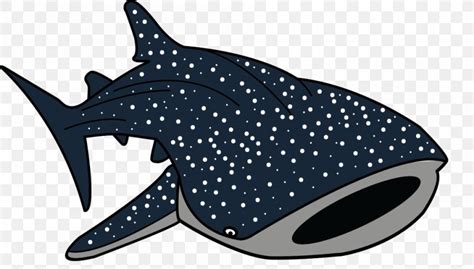 whale shark drawing clip art png xpx shark black bull shark cartilaginous fish