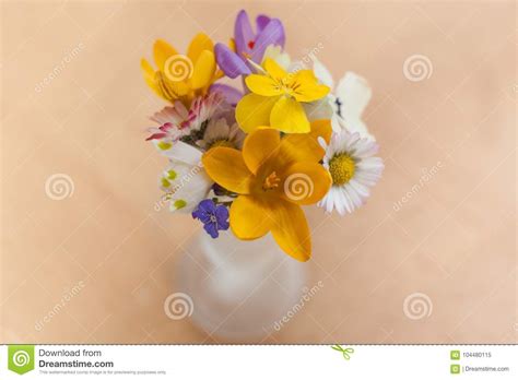 miniature bouquet  spring flowers stock image image  bunch