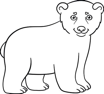coloring pages  cute baby polar bear stock illustration
