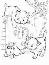 Poes Hond Kat Topkleurplaat Kleurprenten Poezen Verjaardag sketch template