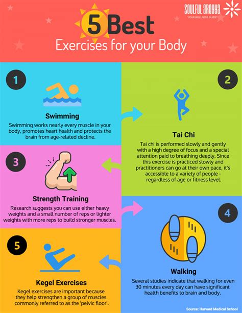 5 Best Exercises For Your Body Infographic Infographics