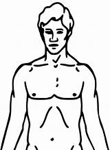 Clipart Body Back Human Front Cliparts Library Sketch Chest sketch template