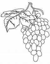 Grapes Coloring Pages Fruit Grape Vine Fresh Drawing Purple Printable Pencil Getdrawings Spain Getcolorings Preschool Color Print sketch template