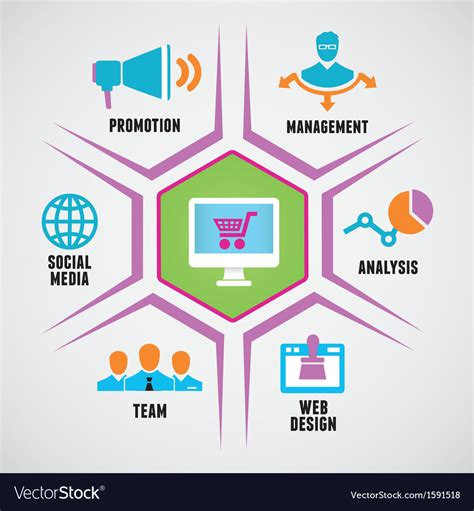concept  social media marketing strategy vector image