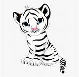 Tigers Cubs Jing Dxf Eps Clipground Clipartspub Kindpng sketch template