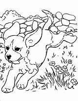 Puppy Coloring Pages Getdrawings Online sketch template