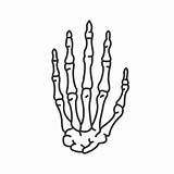 Skeletal Joints Boney Metacarpal Interphalangeal Iconfinder sketch template