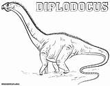 Diplodocus Coloring Dinosaurs Colorings sketch template