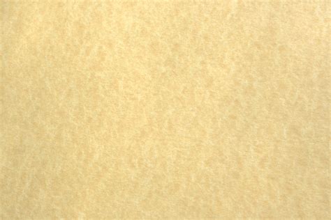 light colored parchment paper texture picture  photograph