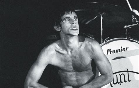 iggy pop s ‘the passenger finally gets a music video 43 years later
