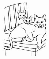 Cat Coloring Pages Kitten Printable Cartoon Little Print Cute Pet Twi Siamese Cats Color Baby Sheet Moms Getdrawings Coloringbay Clipartmag sketch template
