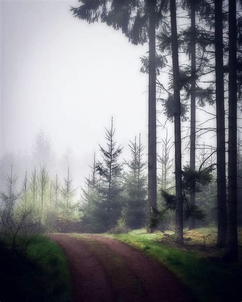 foggy country road markaryd sweden by göran ebenhart