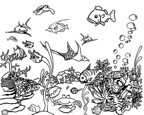 ocean plants coloring pages  getcoloringscom  printable